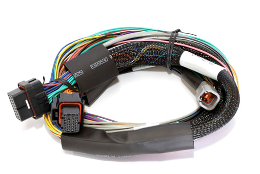 Haltech Elite 1000 8ft Basic Universal Wire-In Harness (Excl Relays or Fuses)