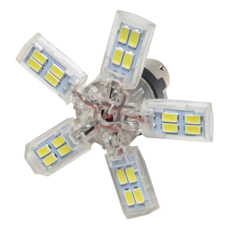 Oracle 1156 15 SMD 3 Chip Spider Bulb (Single) - Cool White -  Shop now at Performance Car Parts