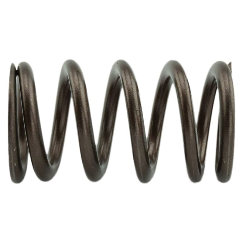 Industrial Injection 110 LBS Single Valve Spring Set -  Shop now at Performance Car Parts
